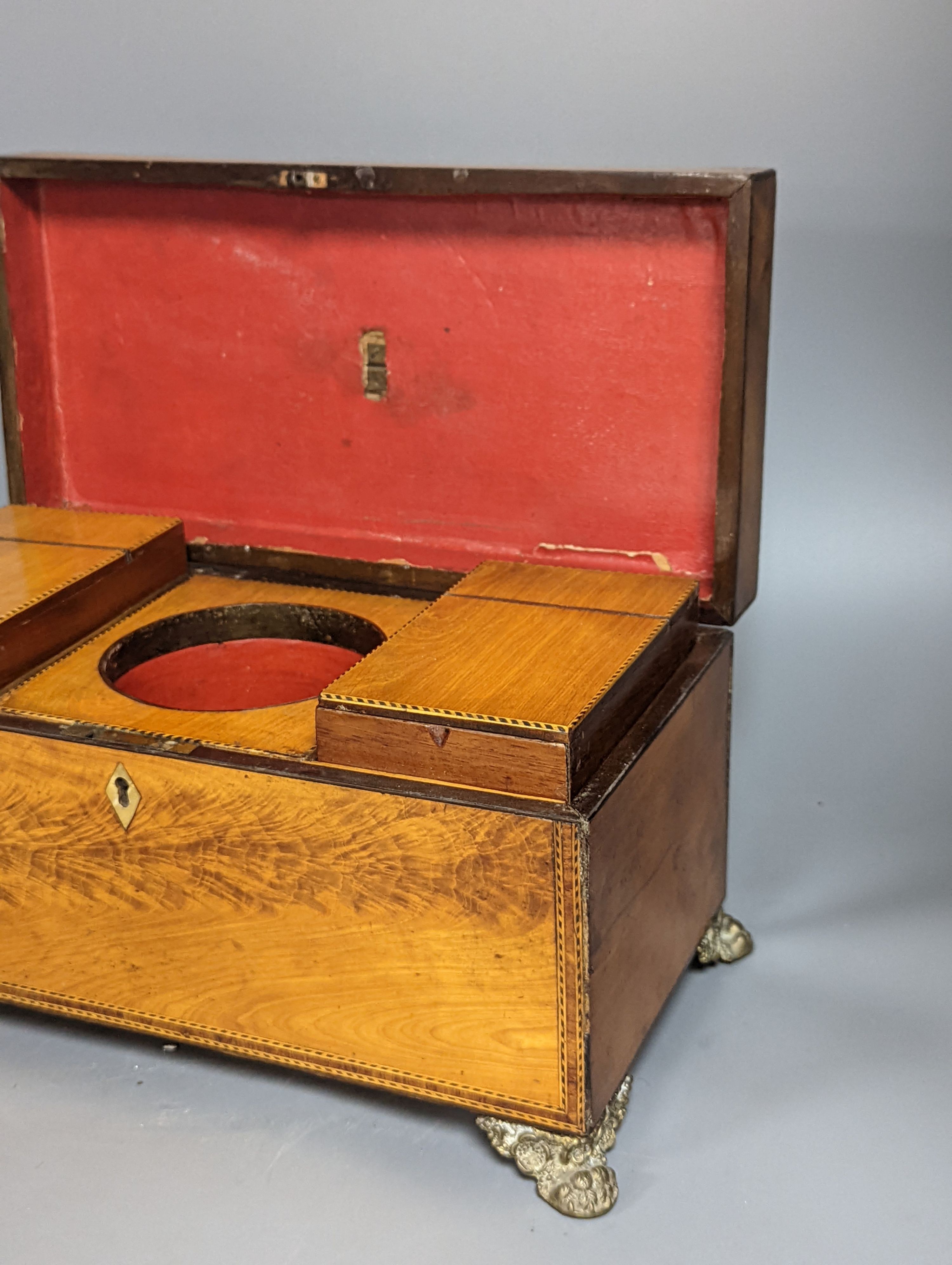 An early 19th century West Indian satinwood tea caddy 33cm